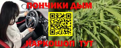индика Нягань