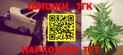 индика Нягань