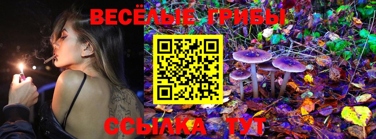 Псилоцибиновые грибы ЛСД Соль-Илецк