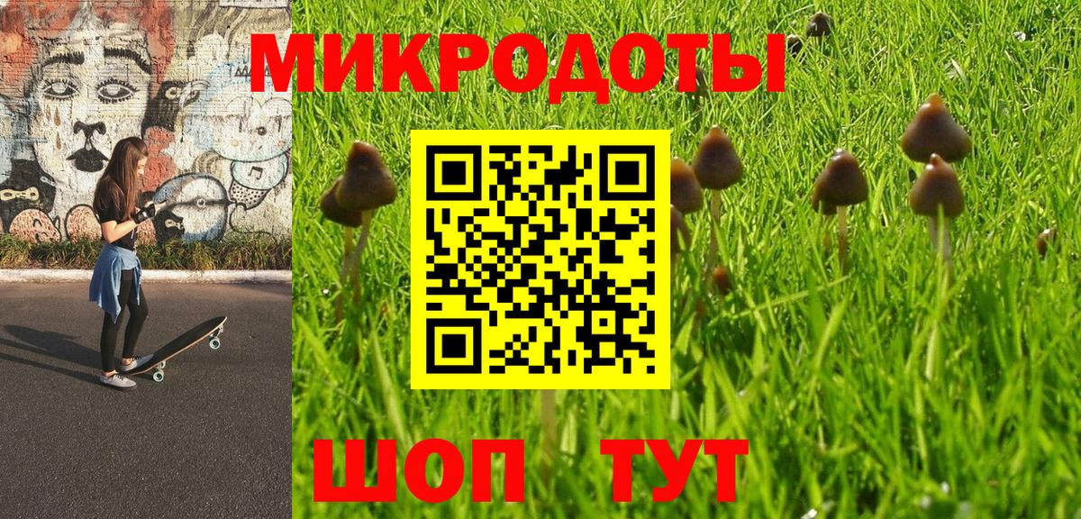 Соль-Илецк  Псилоцибиновые грибы мухоморы  Вход с VPN 